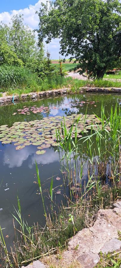 Domek U Rybnika Schloss Bosig Esterno foto